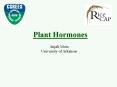 Plant Hormones Anjali More University of Arkansas Why d