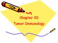 Chapter 20 Tumor Immunology Introduction Part  Tumo