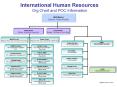 International Human Resources Org Chart and POC Informatio