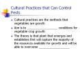 Cultural Practices that Can Control Pests Cultural practice