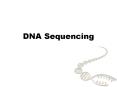 DNA Sequencing DNA sequencing DNA sequencing Determinatio