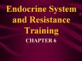 Endocrine System and Resistance Training CHAPTER 6 3