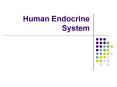 Human Endocrine System Endocrine Overview Hormones- chemica