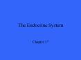The Endocrine System Chapter 17 Major Endocrine Organs Th