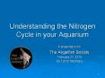 Understanding the Nitrogen Cycle in your Aquarium 