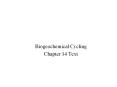 Biogeochemical Cycling Chapter 14 Text Anaerobic ammoni