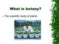 What is botany? The scientific study of plants What is 