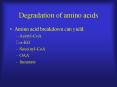 Degradation of amino acids Amino acid breakdown can yiel