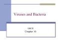 Viruses and Bacteria Unit 6 Chapter 18 Virus characteristic