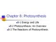 Chapter 8: Photosynthesis 8-1 Energy and Life 8-