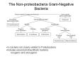 The Non-proteobacteria Gram-Negative Bacteria G- bacteri