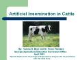 Artificial Insemination in Cattle By: Valerie D. Blair an