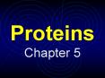 Proteins Chapter 5 Proteins Amino Acid: Basic building bloc