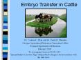 Embryo Transfer in Cattle By: Valerie D. Blair and Dr. Fran