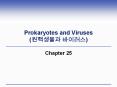Prokaryotes and Viruses (          ) Chapter 25 Envelope