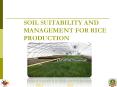 SOIL SUITABILITY AND MANAGEMENT FOR RICE PRODUCTION Next En