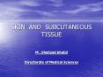 skin and subcutaneous tissue