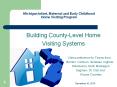 Michigan Infant, Maternal and Early Childhood Home Visitin