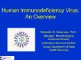 Human Immunodeficiency Virus: An Overview Elizabeth W