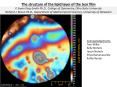 The structure of the lipid layer of the tear film P. Ewe