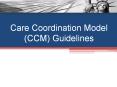 Care Coordination Model (CCM) Guidelines Reportin