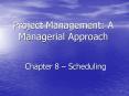 Project Management: A Managerial Approach Chapter 8 