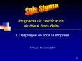 Programa de certificaci n de Black Belts Belts I. Despliegu