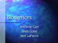 Biosensors Anthony Carr Brett Gobe Ben LaPierre What ar