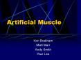 Artificial Muscle Kori Brabham Misti Marr Andy Smith Pau