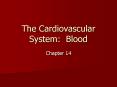 The Cardiovascular System: Blood Chapter 14 Cardiovascula