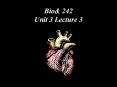 Bio& 242 Unit 3 Lecture 3 ANS Regulation of Cardiac Activit
