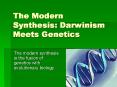 The Modern Synthesis: Darwinism Meets Genetics The moder