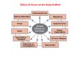 Effects of Stress on the Body & Mind The Medical Mode