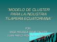 Proceso Productivo de la Tilapia Cadena Productiva Proces