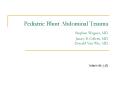 Pediatric Blunt Abdominal Trauma Stephen Wegner, MD Jame