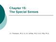 Chapter 15: The Special Senses J.F. Thompson, Ph.D. & J.R