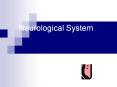 Neurological System Central Nervous System (CNS) Cerebra