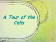 A Tour of the Cells * * The cell wall, found in prokaryotes