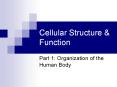 Cellular Structure & Function Part 1: Organization of th