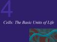 Cells: The Basic Units of Life Cells: The Basic Units o
