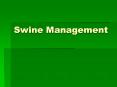 Swine Management Characteristics of swine Pigs ar