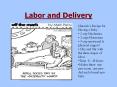 Labor and Delivery Marcela s Recipe for Having a Baby: 2 cu