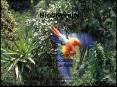 Biodiversity Loss Causes of Biodiversity Loss Why Do We Nee