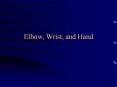 Elbow, Wrist, and Hand Intersection Syndrome Inflammation o