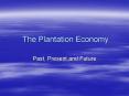 The Plantation Economy Past, Present and Future Plantatio