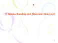       3                              (Chemical Bonding an