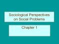 Sociological Perspectives on Social Problems Chapter 1 Wha