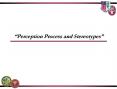  Perception Process and Stereotypes  The perception proces