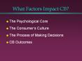 The Psychological Core The Consumer s Culture The Process o