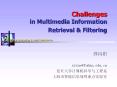 Challenges in Multimedia Information Retrieval & Filtering 